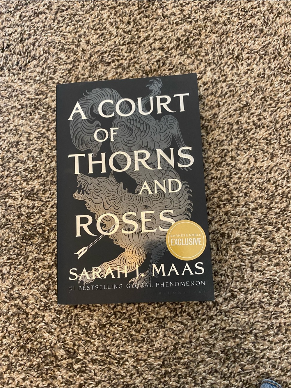 A Court of Thorns and Roses book